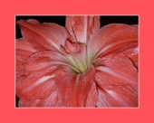 how susceptible image healthtips images